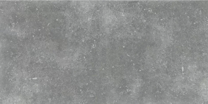 Керамогранит Granite Gloria Gray / Граните Глория Серый ASR 120x60