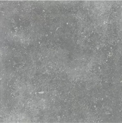 Керамогранит Granite Gloria Gray / Граните Глория Серый SR 60x60
