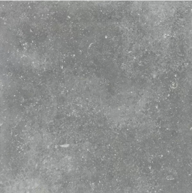 Керамогранит Granite Gloria Gray / Граните Глория Серый ASR 60x60