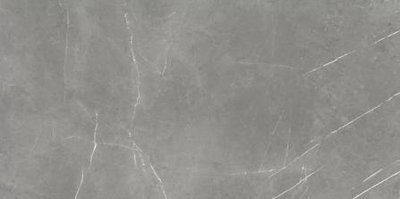 Керамогранит Atlas Concorde Forte dei Marmi Elegant Grey Rett Cer 60x120 610015000657