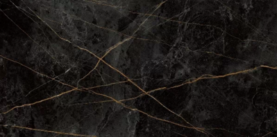 Керамогранит Granite SANDRA Black Olive / Гранит Сандра черно-оливковый LLR 120x60