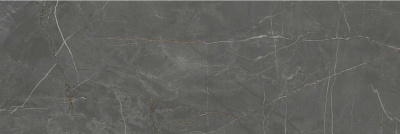 Керамическая плитка Kerama Marazzi Плитка Буонарроти серый темный обрезной 30х89,5 13098R